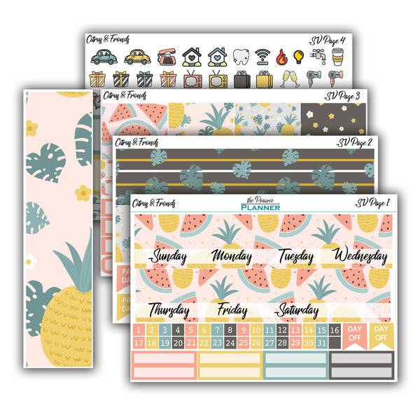 Citrus & Fronds | Monthly Kit