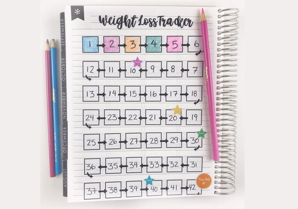 Weight Loss Tracker - Planner Stickers